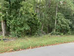 A paved road runs alongside a grassy edge with fallen leaves near 4553 Ashley View. Dense green trees and underbrush fill the background, marking the start of a wooded area in Oxford.