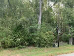 A wooded area with dense green trees and bushes, a black streetlamp, and a green utility box near the edge of a grassy roadside at 4551 Ashley View, Oxford.