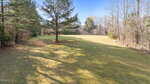 A grassy, open field bordered by trees on both sides, with a few scattered pine trees under a clear blue sky. Shadows from the trees fall across the grass.