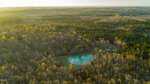 Aerial view of a forested area near 8730 Grassy Creek Road, with a small, round pond near the center, surrounded by trees and a few buildings. Sunlight casts a golden glow over the landscape in this picturesque Bullock setting.