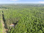 Aerial view of a dense green forest with a small clearing revealing a single house near the bottom left corner; expansive trees stretch toward the horizon under a blue sky.