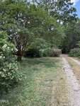 A gravel driveway curves through a grassy yard lined with bushes, blooming white flowers, and tall green trees under a partly cloudy sky. A small building is partially visible in the background.