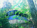 A small blue cabin with a screened porch sits on a wooded hillside, surrounded by green trees and foliage. The cabin has white lattice skirting and patriotic star decorations on the porch.