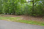 A paved road borders a forested area with dense green trees, shrubs, and scattered fallen leaves covering the ground. Sunlight filters through the foliage, creating a natural, peaceful outdoor scene.