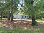 A single-story light blue house with a small front porch is surrounded by tall pine trees, with scattered pinecones and needles covering the ground in a wooded, rural setting.