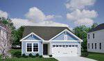 A light blue single-story house with white trim, a gable roof, and a double garage sits on a green lawn with shrubs and a blossoming tree at 205 Buckthorn Drive in Youngsville, under a partly cloudy sky.