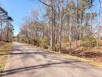 A paved road runs through a wooded area with tall, leafless trees on a sunny day at 131 Cherokee Drive, Louisburg. Shadows from the trees fall across the road, and the sky is clear and blue.
