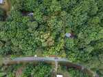 Aerial view of a wooded area with dense green trees. A rectangular plot of land at 235 Eagle Drive, Louisburg, is outlined in red, bordered by a paved road with several cars parked along it and a few scattered houses nearby.