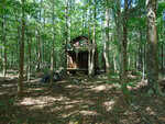 A small wooden cabin stands in the middle of a dense, sunlit forest near Noel Tuck Road in Oxford, surrounded by tall trees and scattered patches of shade on the forest floor.