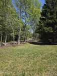 A grassy area bordered by tall trees with fresh green leaves on a sunny day. A narrow path or road, possibly 413 Johnson Town Road in Zebulon, runs through the trees in the background under a clear blue sky.