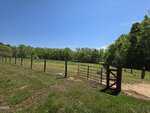 A fenced pasture on 000 Johnson Town Road with a metal gate open to a grassy field, surrounded by trees under a clear blue Zebulon sky on a sunny day. A small shed is visible in the distance.