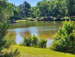 A calm pond surrounded by green grass and trees under a clear blue sky; bushes and pine branches are visible in the foreground, creating a peaceful natural setting on Lot 2 Holden Road in Youngsville.