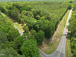 Aerial view of a fork in paved road surrounded by dense green forest and tall trees on a sunny day. The roads, including Henderson and 0 Thomas Road, curve apart, creating a triangular patch of wooded land between them.