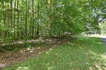 A sunlit, grassy area at 1532 Dogwood Drive in Oxford is bordered by dense woods with tall green trees casting shade. Fallen leaves cover the ground near the trees, and sunlight filters through the foliage.