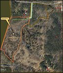 Aerial map showing a 20-acre parcel outlined in orange near 00 Tom Wright Road, Franklinton, labeled "Approx 20 Acres," with a star marking the area. Proposed easement and nearby roads, buildings, trees, and creeks are also visible.