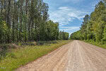 A straight dirt road, known as 0 G F Ball Road, runs between tall pine trees and dense greenery under a blue Louisburg sky with scattered clouds. Wildflowers and grass grow along the roadside.