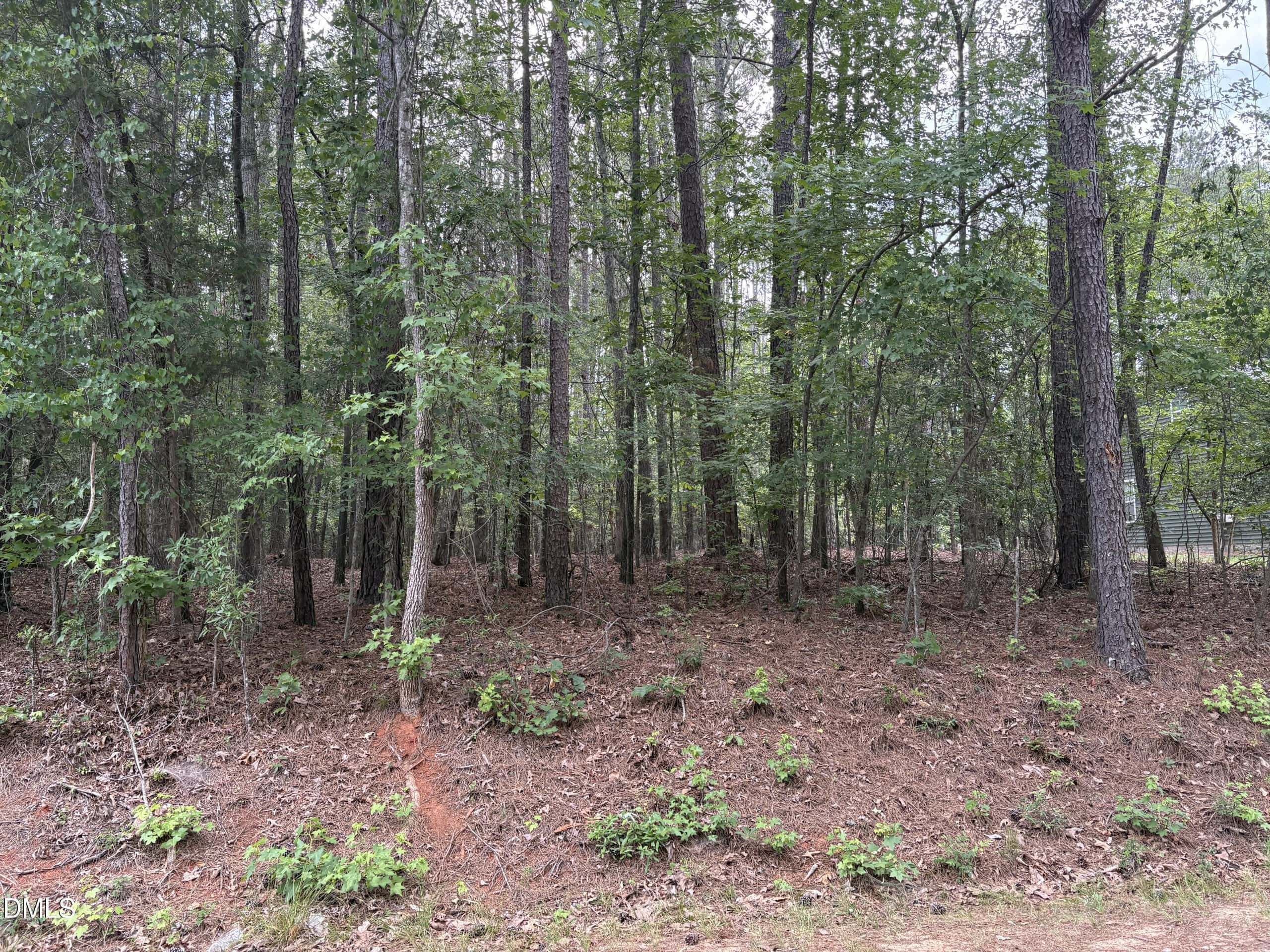 147 Sequoia Drive, Louisburg, NC 27549