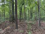 A dense forest near 000 Herbert Faucette Road in Bullock, with tall trees, green leaves, and a ground covered in brown fallen leaves and branches. Filtered daylight shines through the trees, creating a peaceful, undisturbed scene.