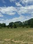 Open grassy field with scattered small bushes and trees near 0 NC 96, bordered by a line of tall, leafy trees under a partly cloudy blue Youngsville sky.
