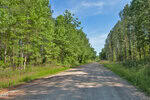 A gravel road, known as L G F Ball Road near Louisburg, runs between dense green trees on both sides under a clear blue sky, with sunlight casting shadows on the road.