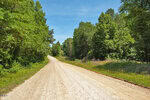 A dirt road, known as M G F Ball Road, curves gently through a lush, green forest under a bright blue sky near Louisburg. Trees line both sides of the road, creating a peaceful, rural scene.