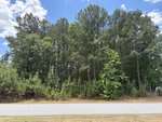 A paved road runs in front of a dense forest with tall pine trees and lush green undergrowth beneath a partly cloudy blue sky near 55 Grand Fairway Drive in Franklinton.
