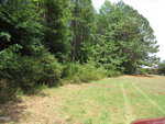 A grassy clearing at 45 Mayodan Lane, Franklinton, features visible tire tracks beside dense woods of tall green trees and bushes under a partly cloudy sky. A portion of a red vehicle appears at the lower right edge.