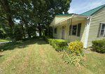 Nestled at 568 Daniel Street, Henderson, this small yellow house with green shutters and a green metal roof sits on a grassy yard, surrounded by bushes and plants, with large trees providing plenty of shade.