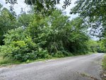A paved road bordered by dense green trees and bushes runs quietly along 50ft Cleveland Street in Henderson. The sky is mostly cloudy, and the area appears quiet and overgrown, suggesting minimal recent maintenance.