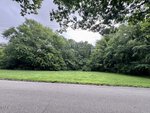 A paved road borders a grassy, empty lot at 52 Ft Quarry Street, with dense, leafy green trees in the background under a cloudy sky. Power lines run across the scene above the lot in Henderson.