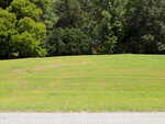 A grassy, slightly uneven lawn with a paved edge in the foreground at 0 Allen Lane, Louisburg, bordered by dense, leafy green trees in the background on a sunny day.