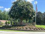 A large tree with white flowers stands behind a stone sign reading "Lake Royale" in Louisburg, surrounded by landscaped bushes and a nearby American flag on a sunny day near 116 Buckaroo Drive.
