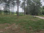 A grassy, partially cleared lot with tall pine trees, a dirt path, and a real estate sign on the right side lies along Tbd Peach Orchard Road in Louisburg; a green field and more trees are visible in the background under a cloudy sky.