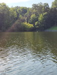 A calm lake with gentle ripples, bordered by dense green trees under a clear sky near 0 Kerr Lake Road, Henderson. Sunlight reflects softly on the water's surface.