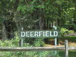 A wooden sign with the word "DEERFIELD" in white letters stands in front of dense trees and greenery at 3588 Deerfield Road, partially obscured by plants, a wooden fence, and clusters of bright green stem.