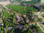 Aerial view of a wooded area with dense pine trees near Louisburg, featuring a clearing with a house, a road running along the foreground labeled Id 011859 Laurel Mill, and open fields with scattered homes in the background.