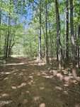 A dirt path winds through a forest with tall trees and green foliage near 0 Crowder Road in Castalia. Sunlight filters through the leaves, casting dappled shadows on the ground, while the blue sky is visible through the tree canopy.