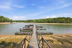 A wooden dock extends over a calm lake with several pontoon boats moored, offering a tranquil setting at 162 Stonewood Loop Lane, Henderson. The shoreline features sandy areas and is surrounded by trees under a mostly clear blue sky.