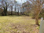 A grassy yard bordered by tall leafless trees, with a white fence post visible in the right foreground, stretches peacefully at 303 King Street, Louisburg. Sunlight casts gentle shadows across the ground under a clear sky.