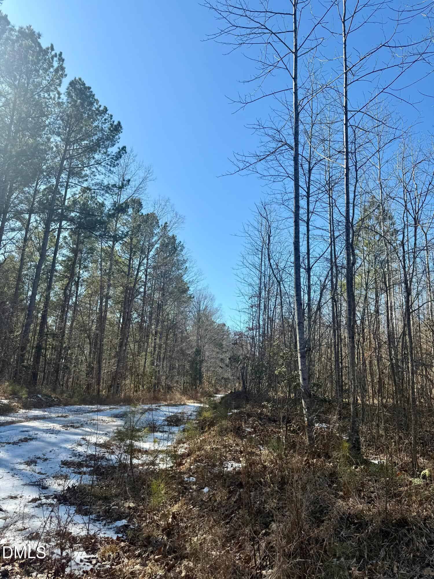 0 Warren Woods Street, Warrenton, NC 27589