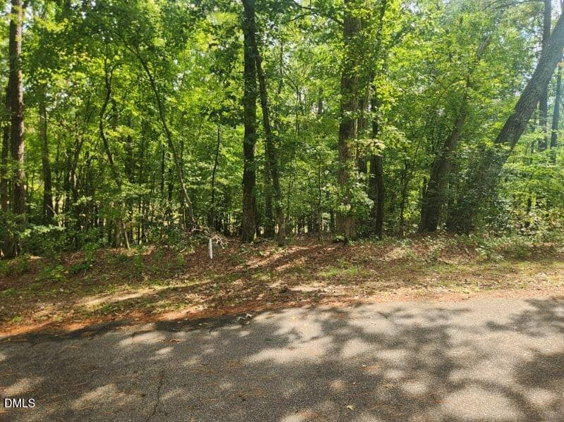 249 Sacred Fire Road, Louisburg, NC 27549