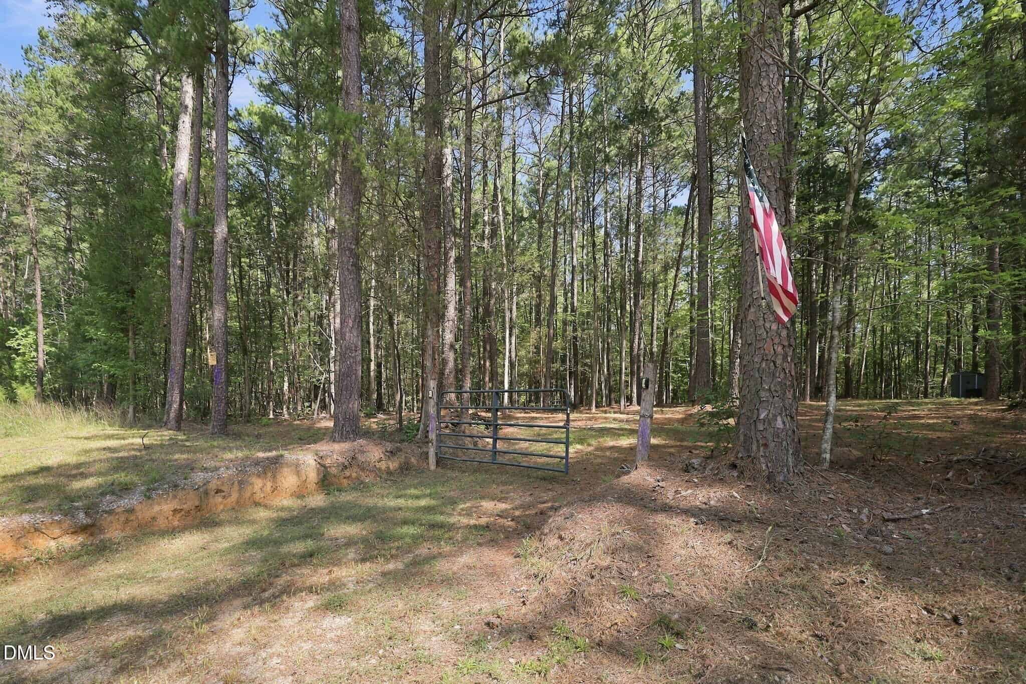 Lot 46 Pool Rock Plantation Lane, Henderson, NC 27537