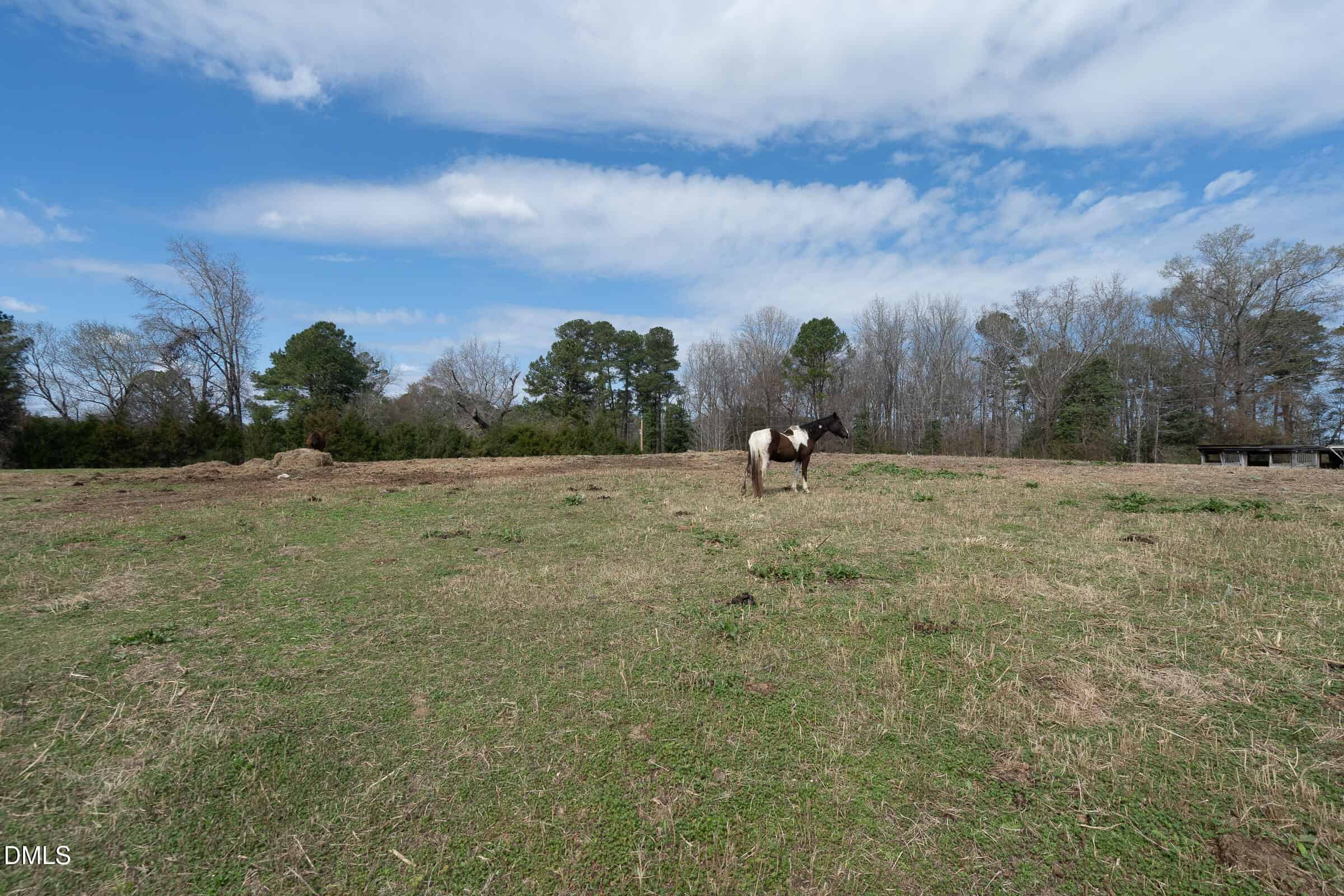 5220 Pulley Town Road, Zebulon, NC 27597