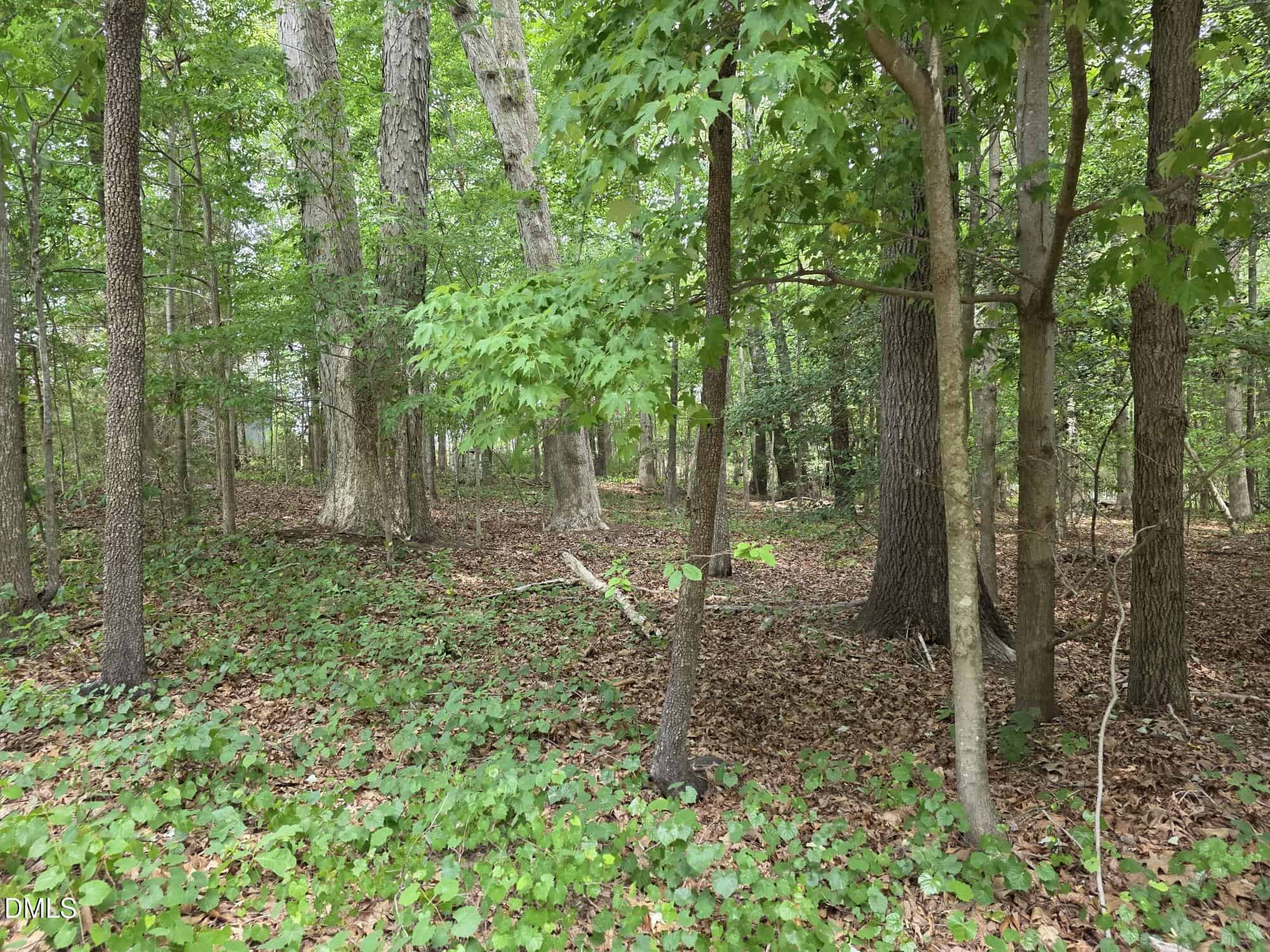 4901 Bluebird House Lane, Raleigh, NC 27616