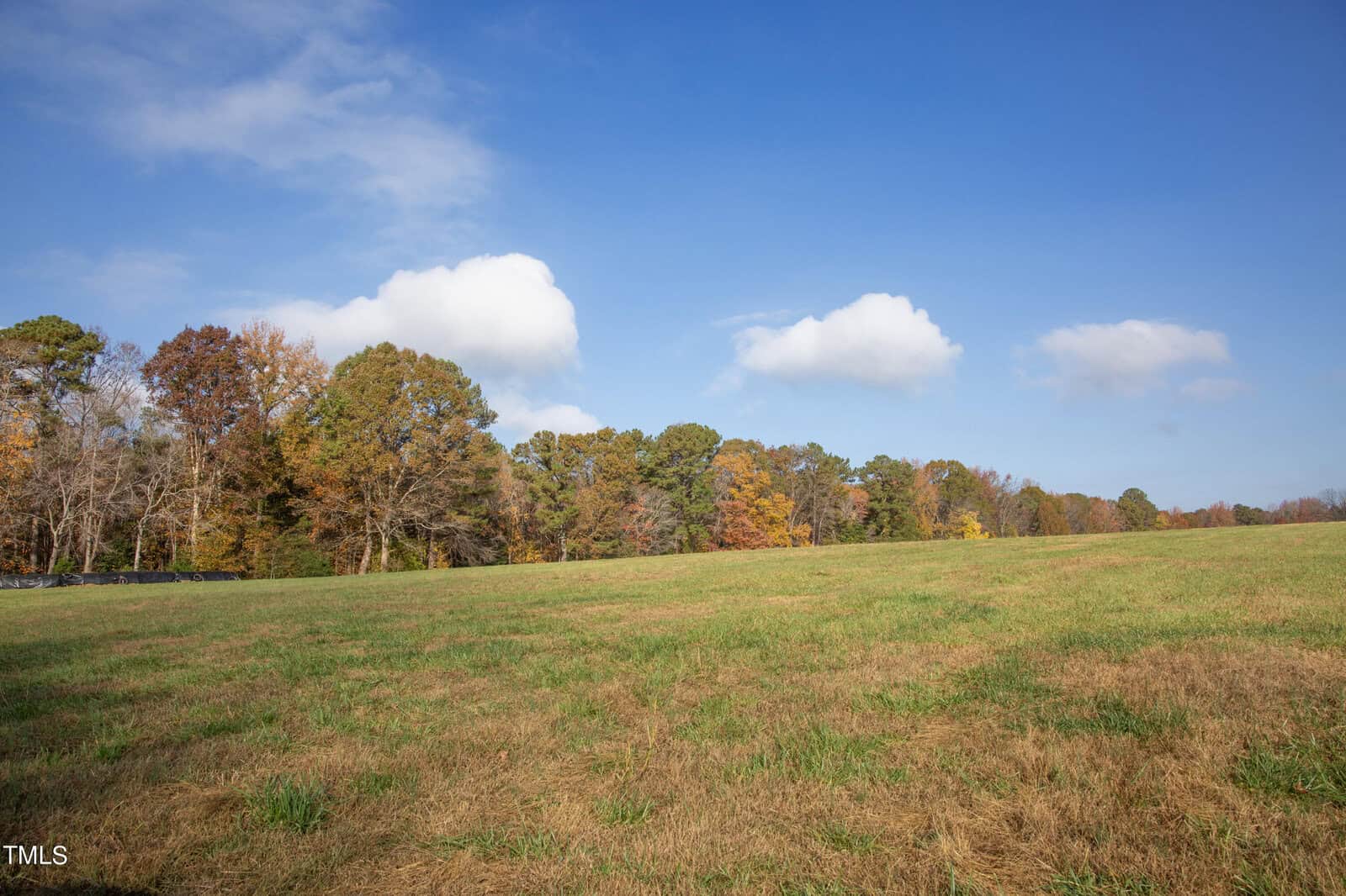 A vast grassy field under a blue sky with scattered white clouds. The horizon is lined with autumn-colored trees, showcasing a mix of green, orange, and yellow foliage.
