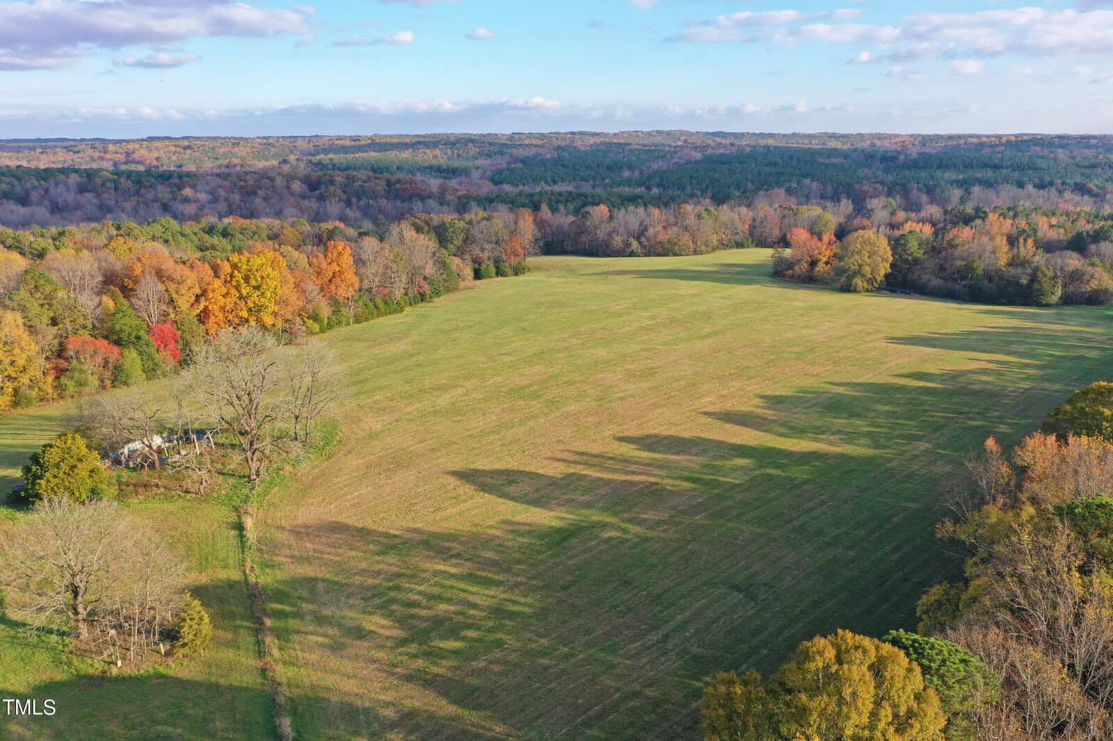 Aerial view of a vast grassy field surrounded by colorful autumn trees under a partly cloudy sky. Shadows of trees stretch across the field, with a forested area in the background.