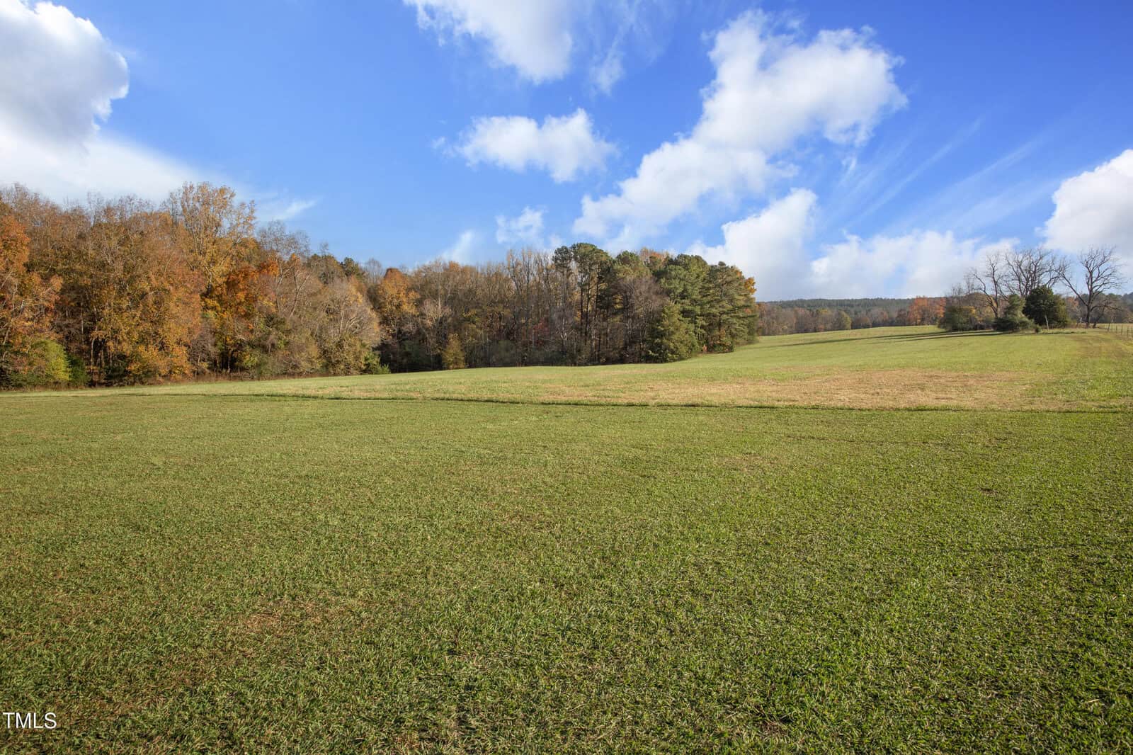 A vast open field with green grass under a clear blue sky. Autumn trees line the horizon, displaying hues of orange, yellow, and brown. Fluffy white clouds are scattered across the sky. The scene is tranquil and expansive.