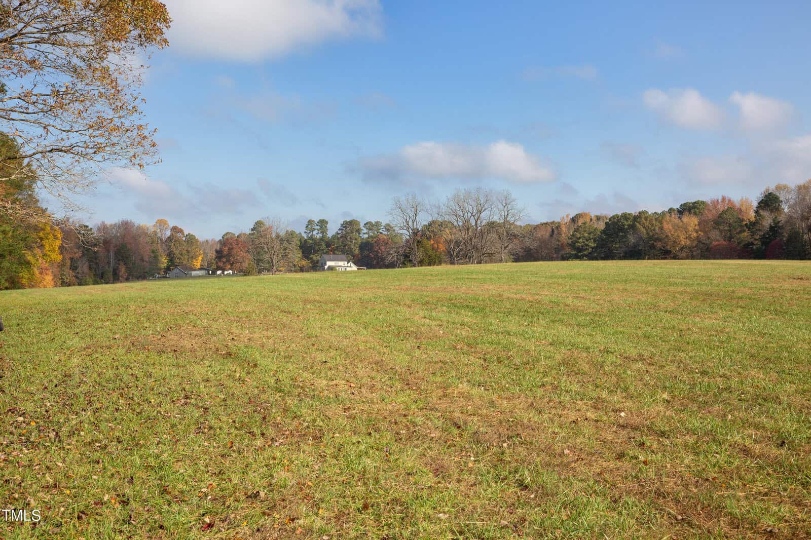 A vast, green field under a blue sky with fluffy clouds. In the distance, there are trees with autumn foliage and a few white buildings nestled among them. The setting is serene and open, evoking a sense of tranquility.