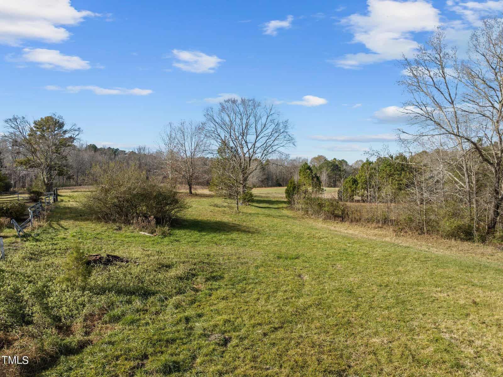 A green meadow with scattered trees under a blue sky with scattered clouds. A wooden fence runs along the left side, and dense trees are in the background, creating a serene, open landscape.