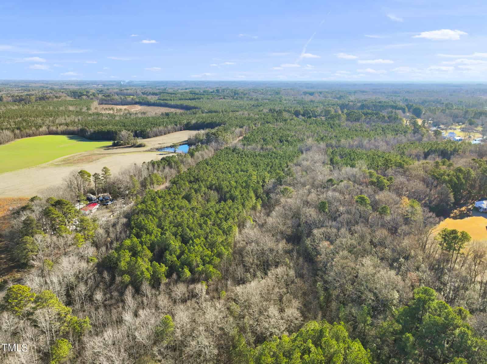 Aerial view of a rural landscape with dense green forests, open fields, scattered trees, and a few buildings visible among the trees under a blue sky with clouds.